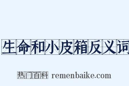 生命和小皮箱反义词是什么意思的图片